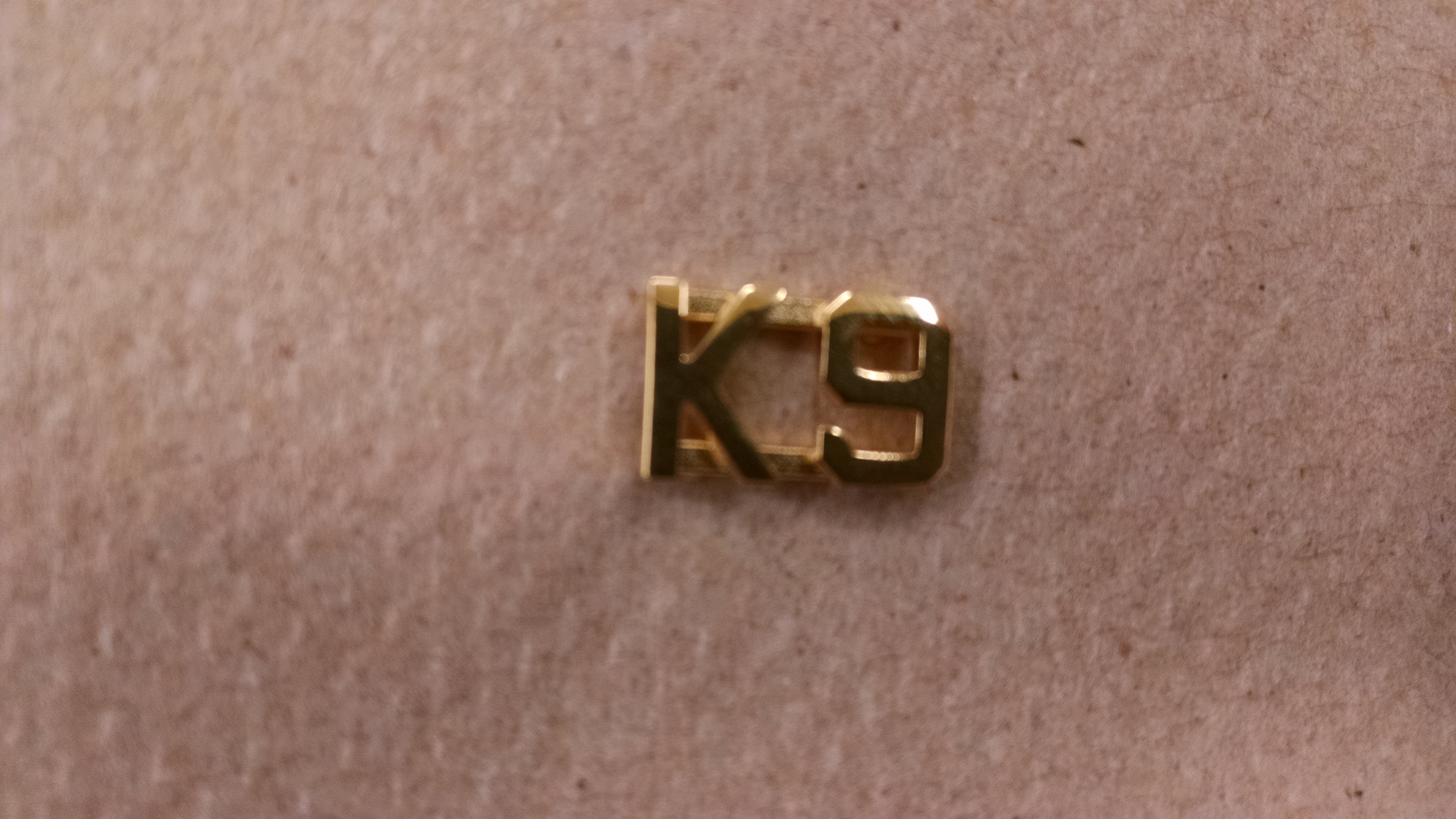 Blackinton "K9" Pin